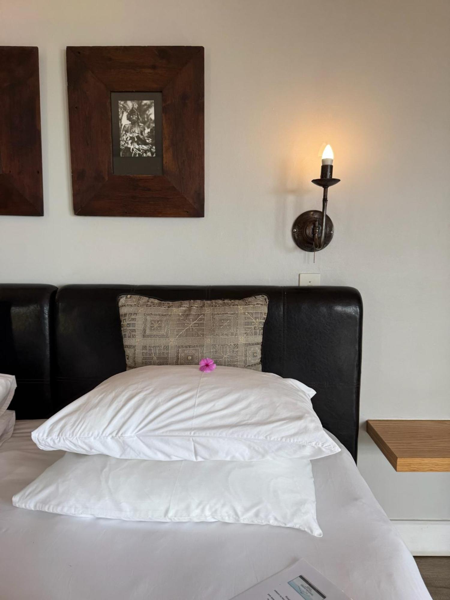Dolphin Dunes Guesthouse Wildernis Extérieur photo